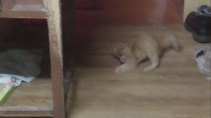 Мой фильм  Филькины выкрутасы