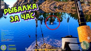 Плотва Синяк! Раздача Трофеев. Ладожское оз. Рыбалка за час. РР4. Русская Рыбалка 4