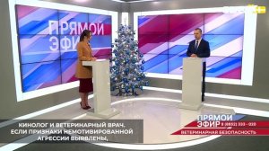 Агрессивность безнадзорных животных на Ставрополье оценивает специальная комиссия