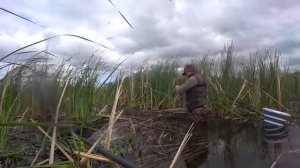 НАШЁЛ ОКНО, ГДЕ ОНИ ЛАЗАЮТ! Рыбалка на поплавок. Ловля карася 2025