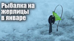 Зимняя рыбалка в январе. Ловля щуки на жерлицы в глухозимье.