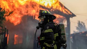 По меньшей мере 16 человек погибли в результате лесных пожаров в Чили