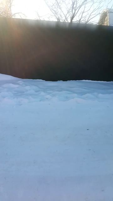 VID_20260119_150659.mp4 смотреть онлайн