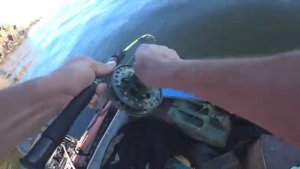 РЫБАЛКА НА ДЕРГАЧА! ВОТ ЭТО КЛЁВ! С КАТЕРА НА УДОЧКУ,ТРЕСКУ И ЗУБАТКУ!