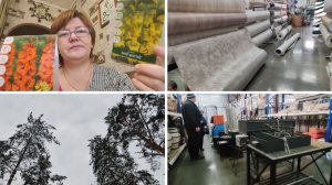 Поехали по делам . Печка для дачи и линолеум с ценами. Купила гладиолусы в светофоре.