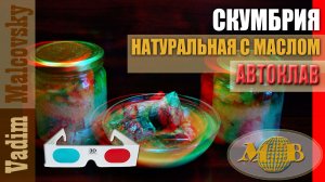 3D stereo red-cyan Скумбрия натуральная с маслом в автоклаве. Мальковский Вадим