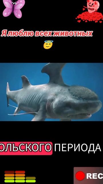 Я люблю всех животных😇 смотреть онлайн