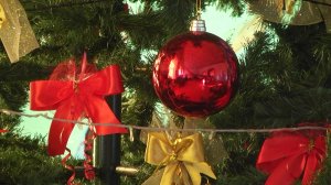 ПРАЗДНИКИ ПРОДОЛЖАЮТСЯ!