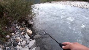 Теберда Тот Год)