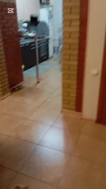 Путешествие мячика