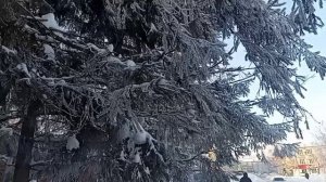 19-01-2026 когда остановился на мгновение #1