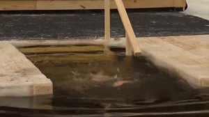 Президент РФ Владимир Путин традиционно окунулся в прорубь на Крещение