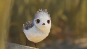 Милый мотивационный мультфильм Пайпер