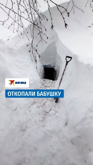 Жители Камчатки сами откопали проход к занесённому снегом дому пенсионерки