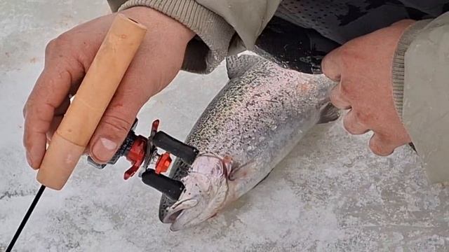 3605.mp4 смотреть онлайн