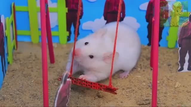 Маленький инопланетный хомячок прибыл на землю, полный любопытства ко всему на свете! смотреть онлайн