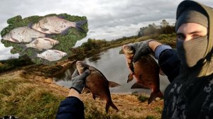 Поймал леща на перетягу! Трофейный лещ скатывается в яму. Жор леща на перетягу осенью! Большие лещи!