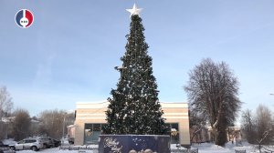 Как долго продержатся новогодние ёлки в Новоуральске