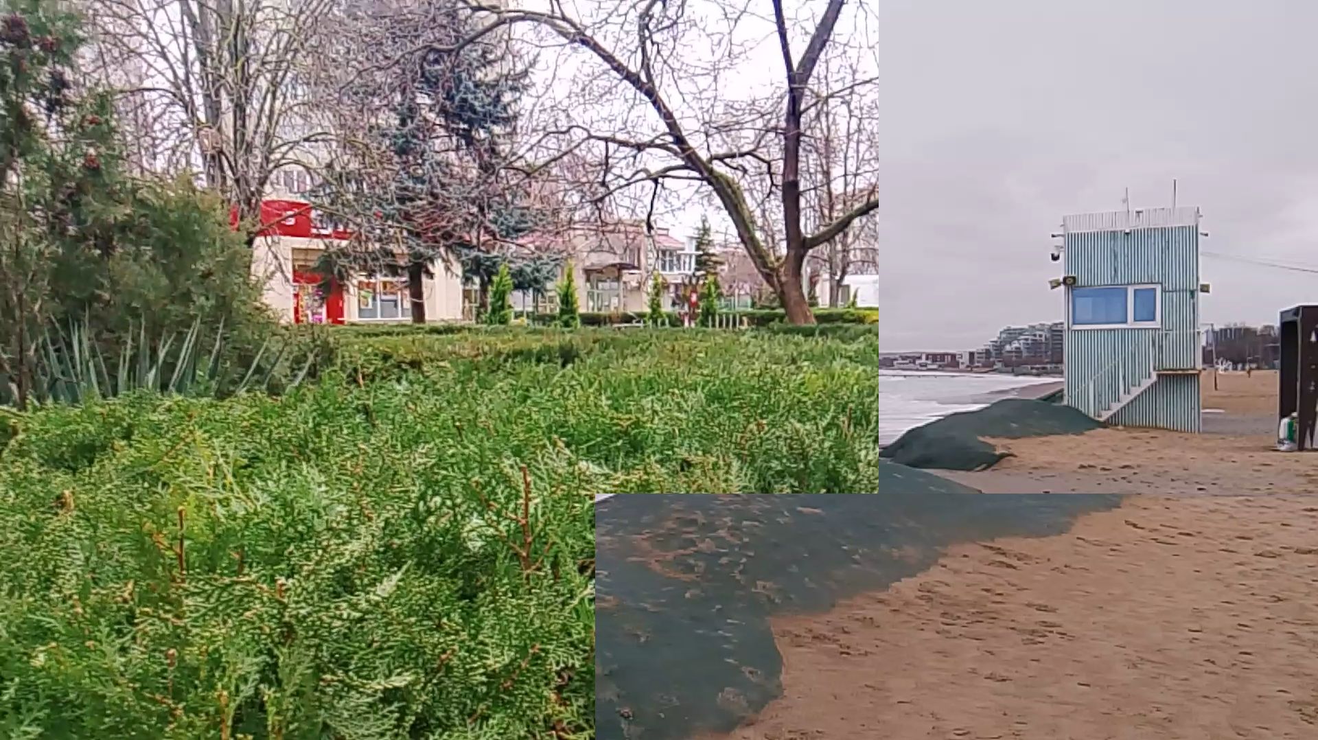 АНАПА 11.01.2026 море ✅📌 📍- зеленый ландшафт — песчаный пляж смотреть онлайн