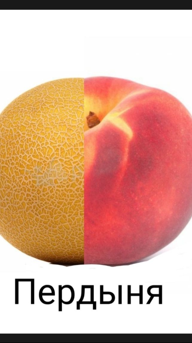 ДЫНЯПЕР... смотреть онлайн