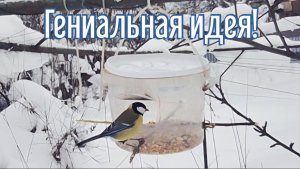 Почему я Раньше до этого не додумался, Как сделать Кормушку для птиц за 4 минуты!
