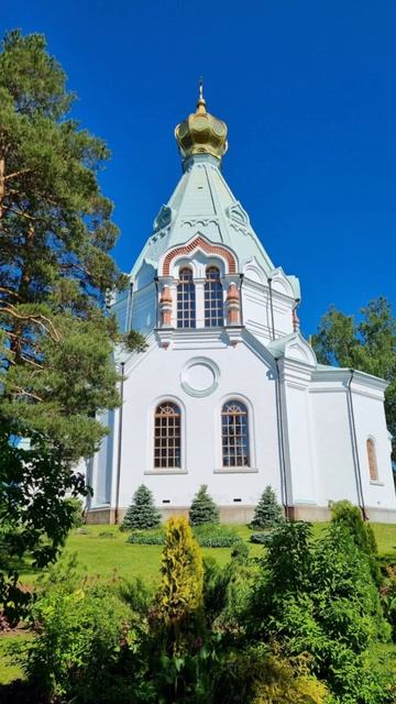 Душевный лекарь#Церковь#shortvideo#shorts#Молитва#Православие смотреть онлайн