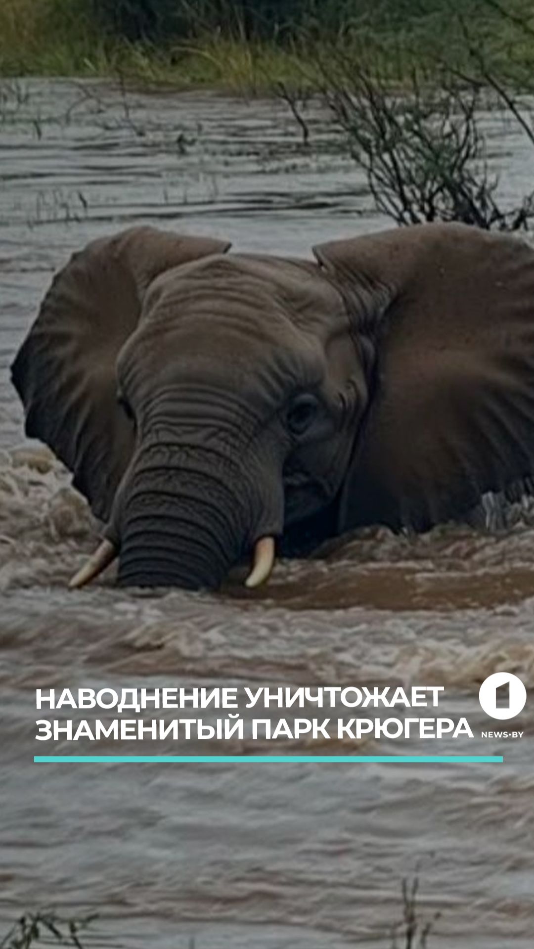 Наводнение в Южной Африке унесло жизни 19 человек смотреть онлайн