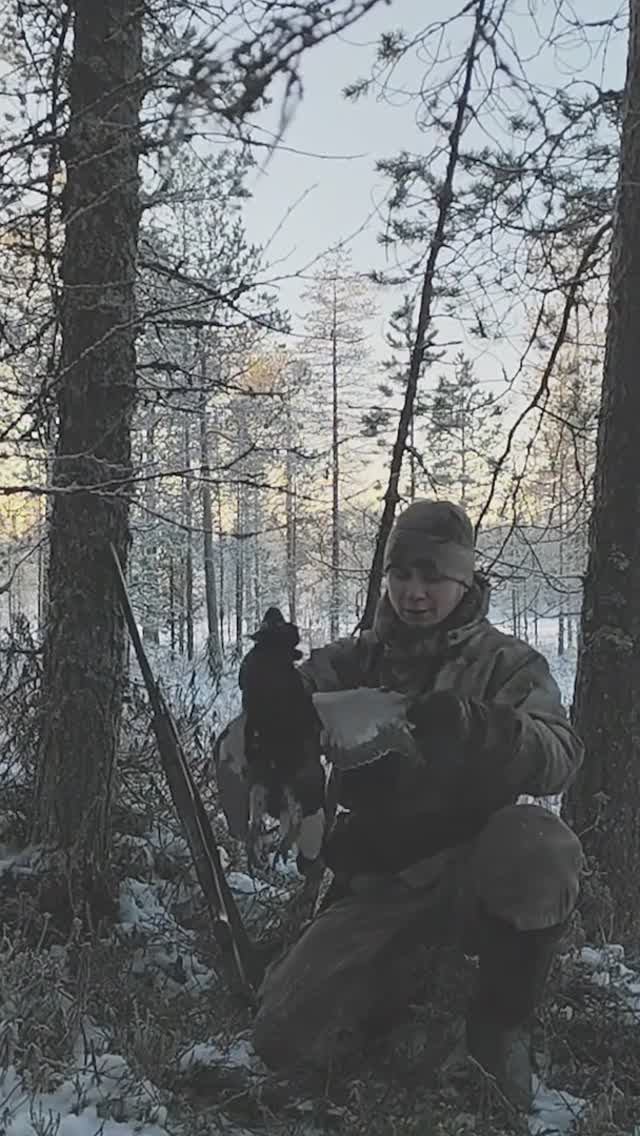 Охота на тетерева с биноклем. смотреть онлайн