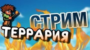 СТРИМ В ТЕРРАРИИ