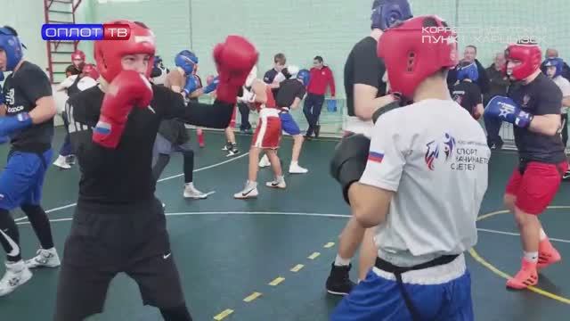 Спортобзор смотреть онлайн