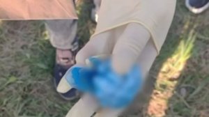 Кемеровчанка получила 11 лет колонии за наркоторговлю в интернет-магазине