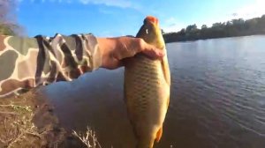 ДЕДОВСКАЯ СНАСТЬ НА ПАЛКЕ! СОМ И САЗАН НА ДОНКИ С БЕРЕГА! Рыбалка в Астрахани 2025