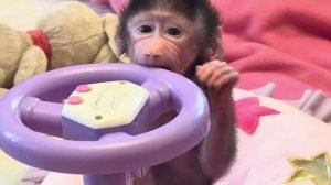 КЛАСС! У Николь теперь есть СВОЯ МАШИНА и она ее осваивает!!!