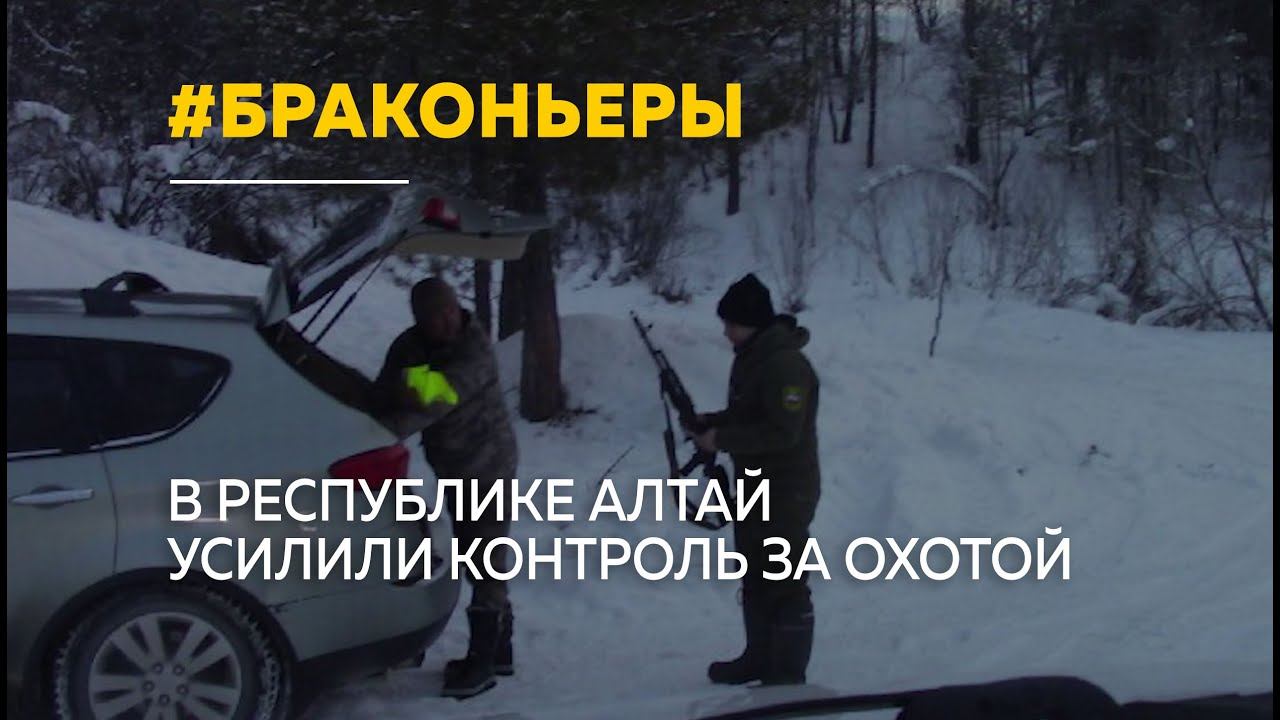 26 нарушений за праздники: в Республике Алтай усилили контроль за охотой смотреть онлайн