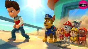 Щенячий патруль и Маршалл. Залипательное видео. Мультфильм для детей и малышей. Анимация 64