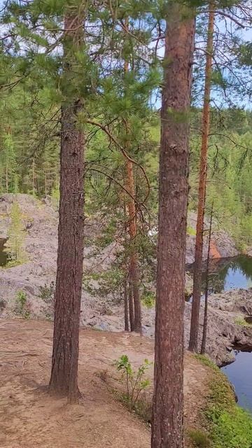 Карелия 2025. Гирвас. Сплав леса. Суна. Июль 2025г (Часть 3) смотреть онлайн