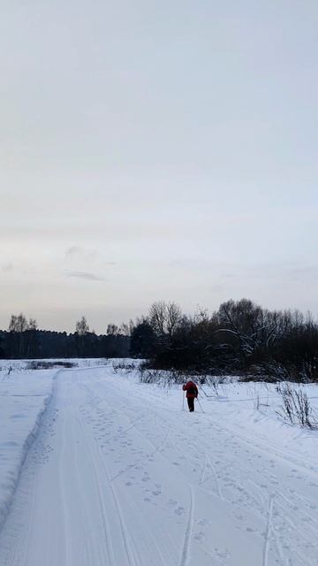 Живые картины русской природы 10