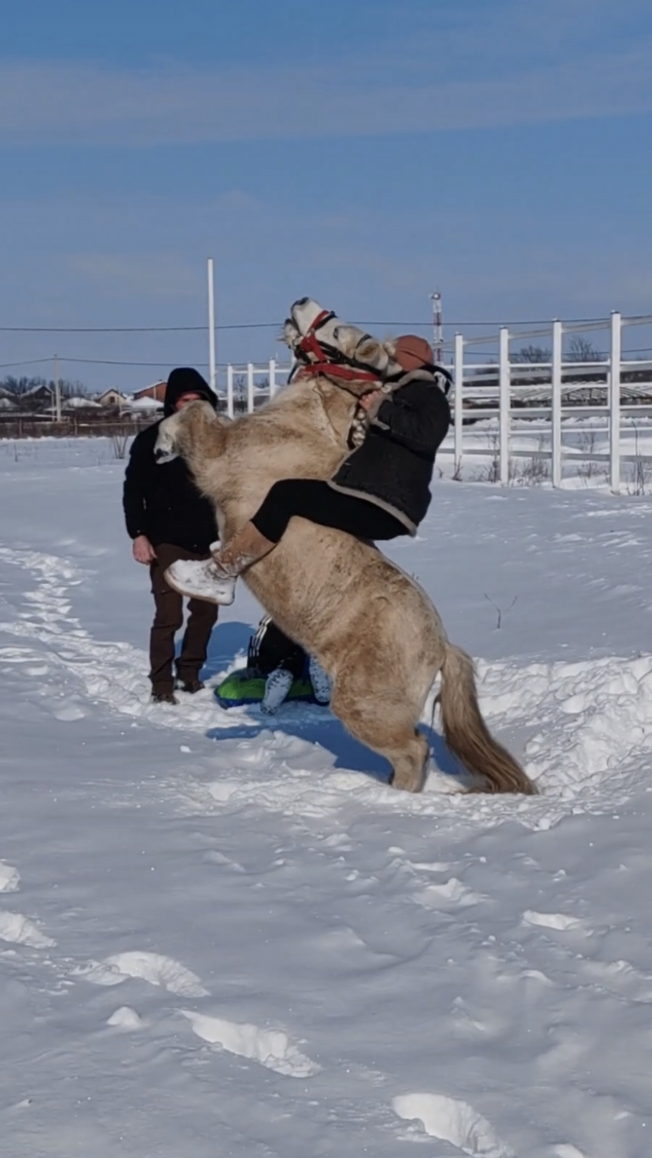Прогулка вышла веселой! Эмили и Эва дарят вам заряд зимнего позитива. Кто тоже хочет покататься? 😉 смотреть онлайн