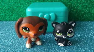 LPS Кавер: Наша Дружба