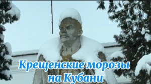 1908❤️Уехали в Станицу из села/ Два красавца в хозяйство/ Рис для роллов и суши в описании