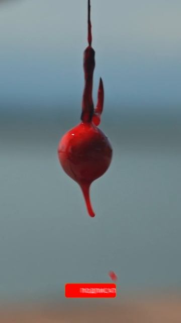 ПРИКОРМОЧНЫЙ КОРАБЛИК: РОСКОШЬ ИЛИ СРЕДСТВО ПЕРЕДВИЖЕНИЯ ДОСТАВКИ? смотреть онлайн