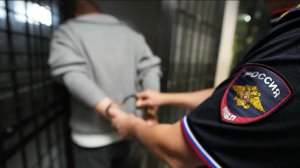 Жителя Екатеринбурга арестовали после избиения младенца и его матери на улице