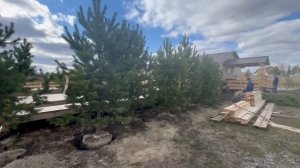 Тюмень Территория Семейного Отдыха Фишпарк