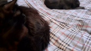 На улице холодно.