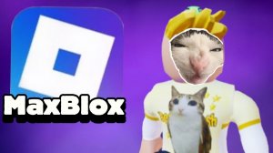 MaxBlox?😅СУЩЕСТВУЕТ ЛИ?🤔 И КОГДА РАЗБЛОКИРУЮТ РОБЛОКС🎁