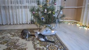 старое видео а ну ка давай ки (2017)