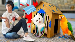 Новый домик для Кефира – котенок и попугай попали в краску!