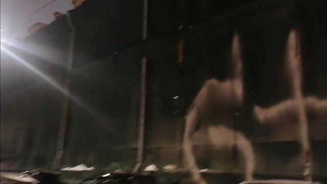 Как я зарабатываю лазая по мусоркам Питера? Dumpster Diving смотреть онлайн