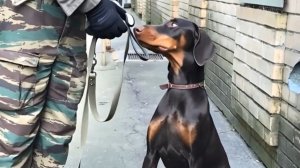 МЭРИ!!! 2 части (от имени мужа и от имени жены)