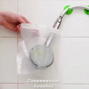 #животные #видео #Милые